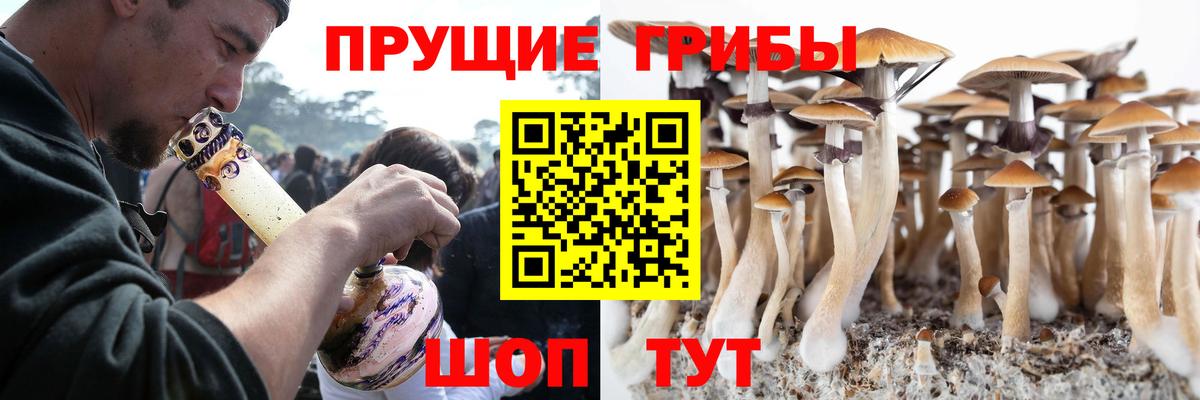 Псилоцибиновые грибы Magic Shrooms  Вход с VPN  Ессентуки 